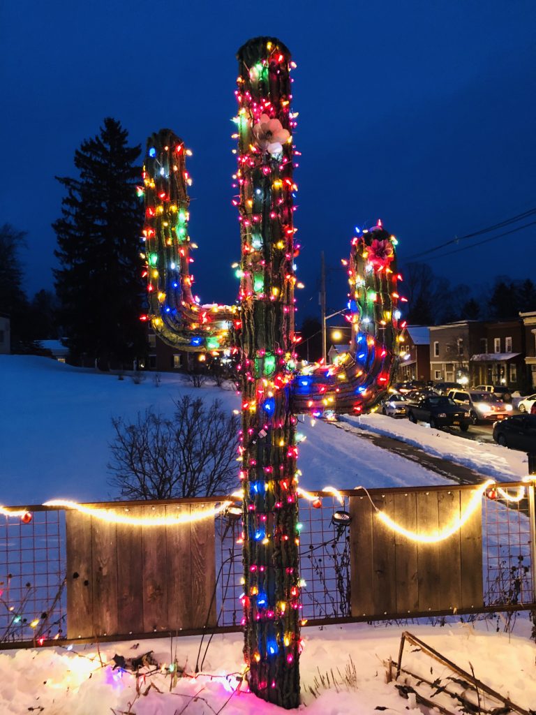 IMG_1779-768x1024 - Copy