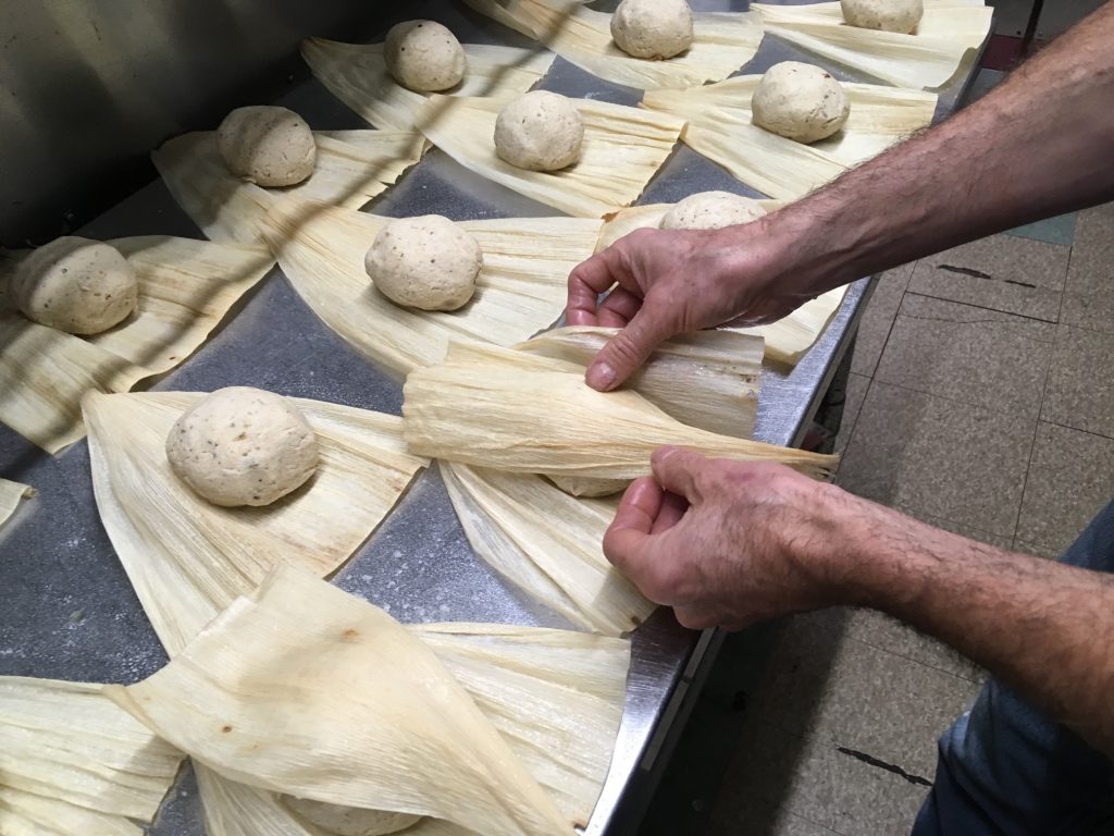 IMG_2147-1024x768 - Copy